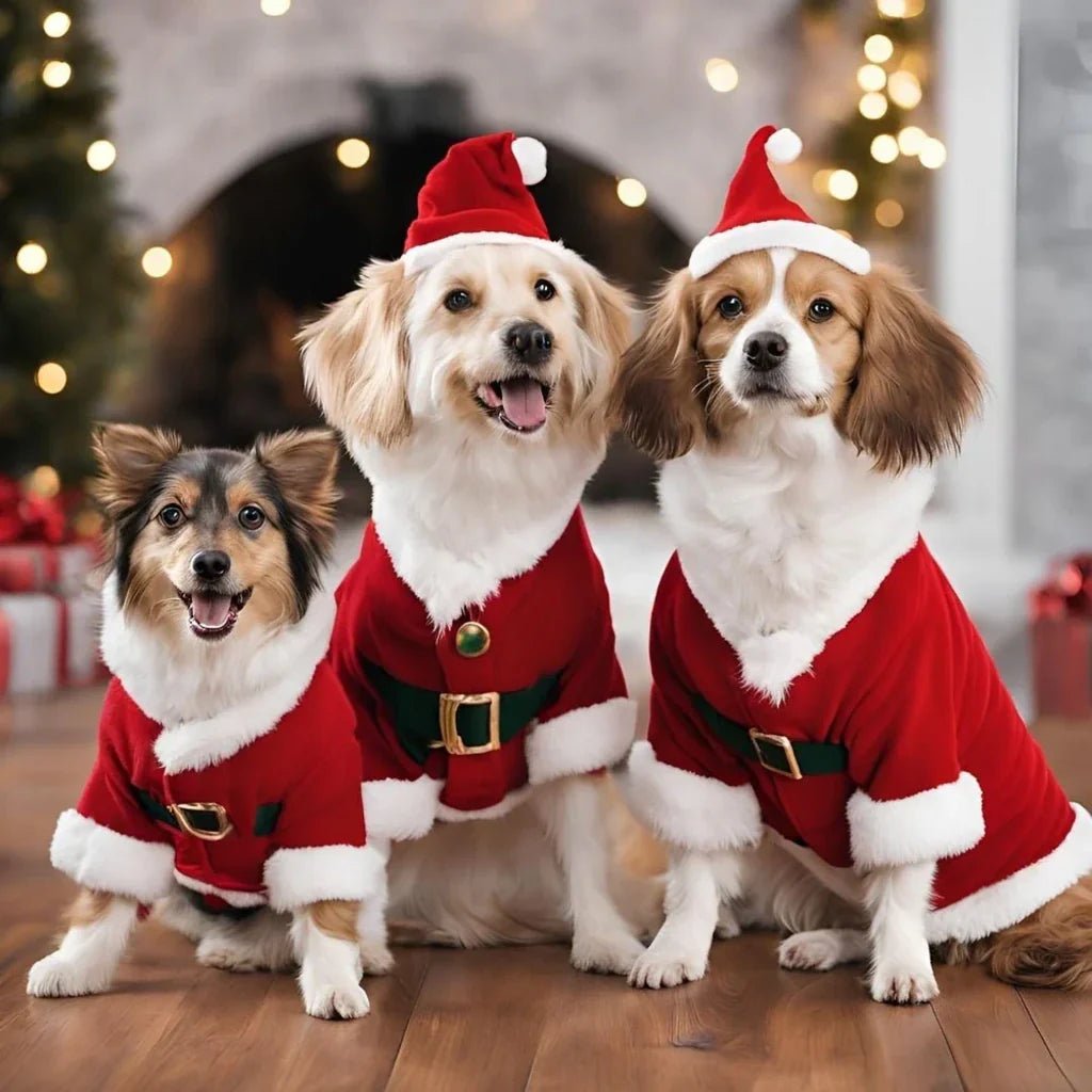 Pet Christmas Supplies - WellFurr