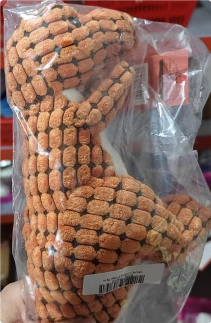 DinoBuddy Plush Chew Toy for Dogs - WellFurr