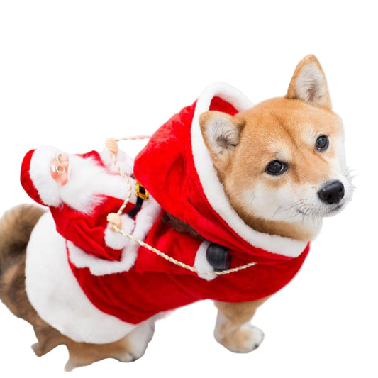 Fashion Christmas Clothes Green Elf Pet Dog Christmas Costume - WellFurr