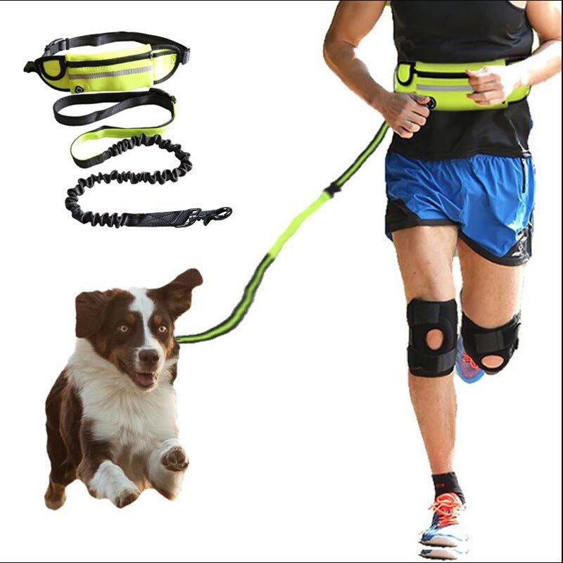 Hands - Free Dog Leash with Bungee & Waist Belt for Large Dogs - WellFurr