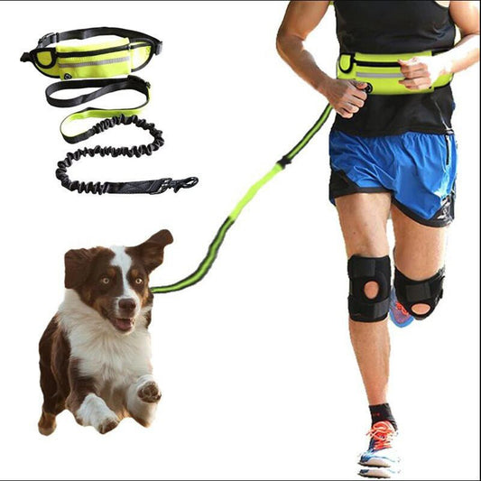 Hands - Free Dog Leash with Bungee & Waist Belt for Large Dogs - WellFurr