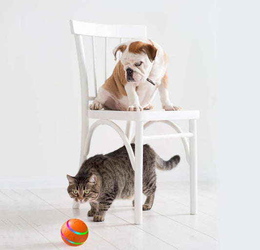 Intelligent Self - Rotating Cat Ball - WellFurr