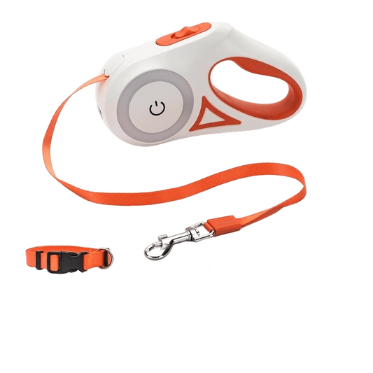 Retractable Dog Leash - Extendable Control for Your Pup - WellFurr