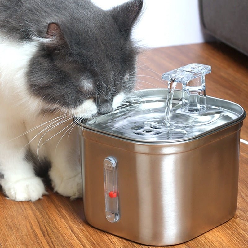 Stainless Steel Automatic Water Feeder - WellFurr